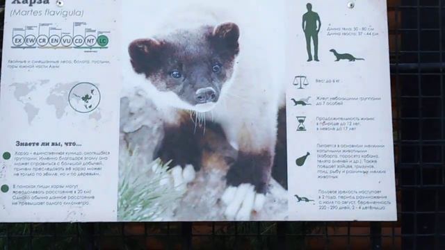 Харза. смотреть онлайн