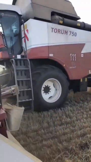 Лучший комбайн по соотношению цена -качество Torum 750 #shorts смотреть онлайн