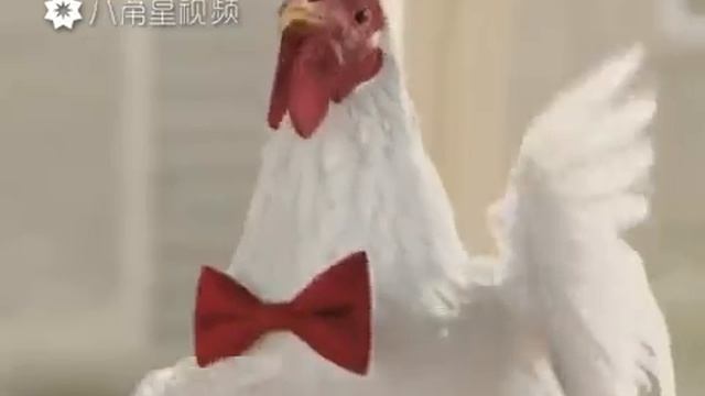 Ну че год ПЕТУХА АА! 😂😂😂 смотреть онлайн