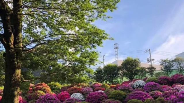 ELECTION LAW|2019 POLITICAL LAW REVIEWER смотреть онлайн