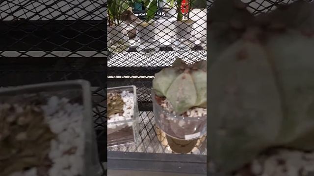 9 марта 2024 г.