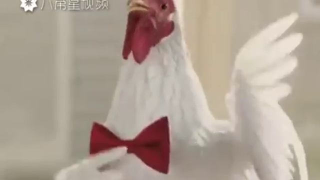 la cancion de la gallina