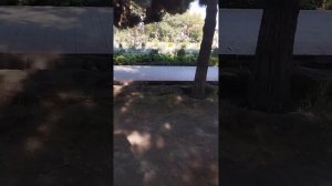 7 августа 2024 г.фуркат боги зур дам оса булади