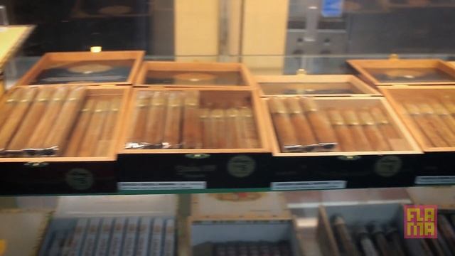 Miami Coffee Windows Are Everything!!! смотреть онлайн