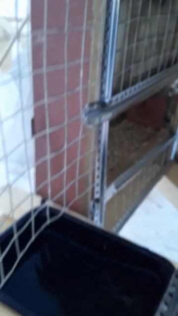 Уличные клетки мои, взято всё самое лучшее, и удобное для КРОЛИКА И хозяина 😉 смотреть онлайн