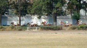 Приз "Большой Ростовский" (Дерби) для полукровок. Ростовский ипподром.