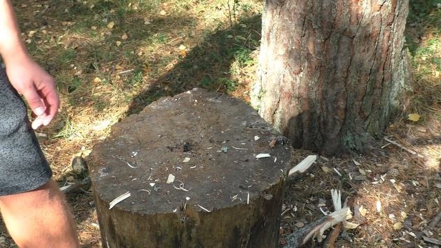 Тест системы SLIPJOINT на травмоопасность. Нож СКАУТ ООО ПП Кизляр