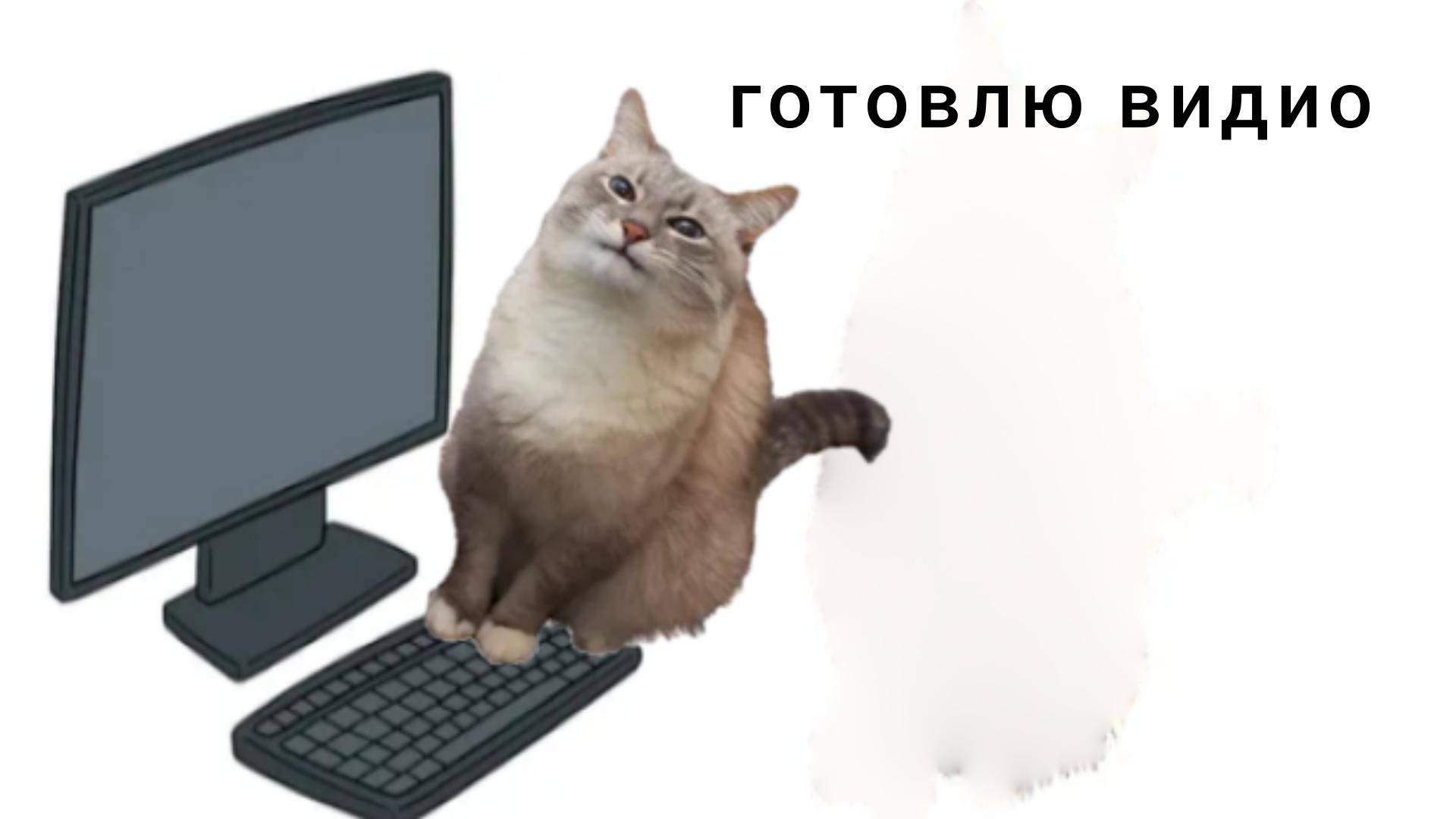 готовлю видос и мемы смотреть онлайн