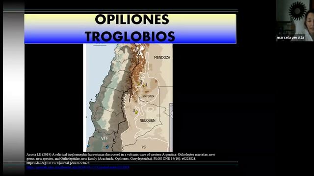 3ra. clase Curso de Espeleología (FAdE) - Dra. en Biología Marcela Peralta - 17.10.2020 смотреть онлайн
