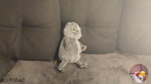 ВЕЧЕРНИЙ ВЛОГ?🫢БАСИК ВЕРНУЛСЯ С БОЛЬНИЦЫ???