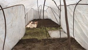 Сделал парник для ранней зелени 🇺🇦(07.03.23)
