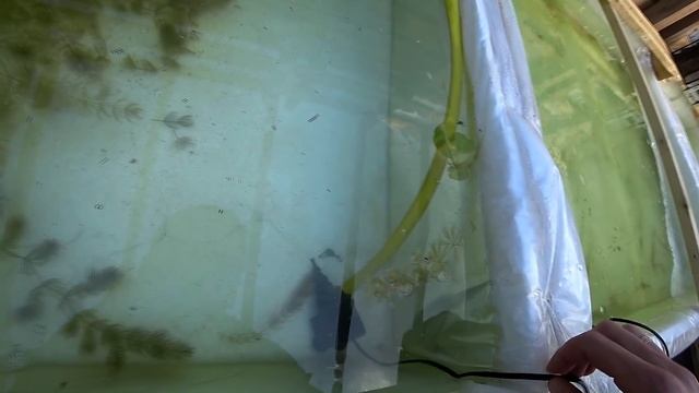 СУПЕР фильтрация бассейна смотреть онлайн