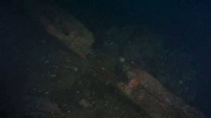 WURKKOS DL06 DIVE LIGHT UNDERWATER TEST