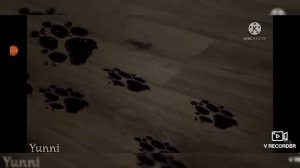 Топ три страшилки ВилдКрафт (часть 2) 👻🎃😈