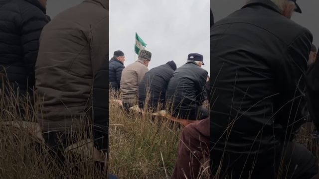 Зикру и турчи у могилы Мустафа Убекинского смотреть онлайн