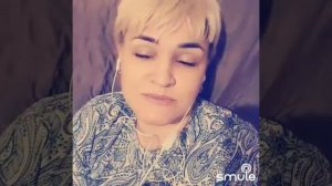 Сіла птаха білокрила на тополю