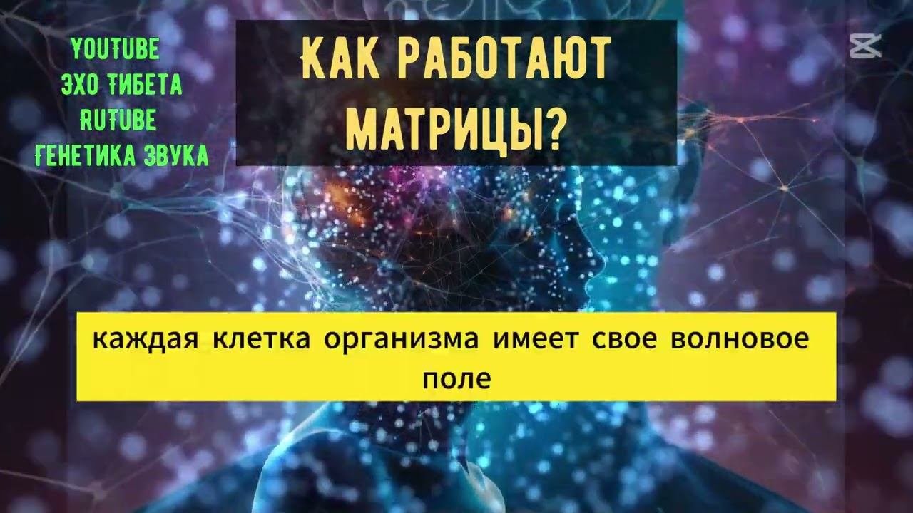 Что такое матрицы Гаряева?