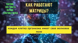 Что такое матрицы Гаряева?