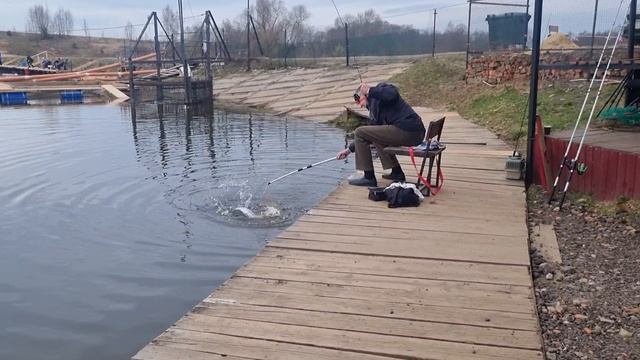 17-04-2025 смотреть онлайн