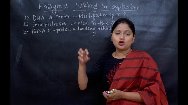 ENZYMES INVOLVED IN REPLICATION