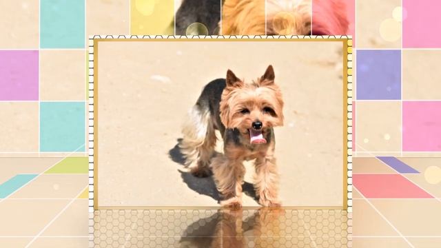 Urlaub in Andalusien 🗺️  Buchten von Maro nach La Herradura  | Costa Tropical #1 HD смотреть онлайн