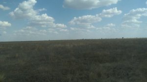 Исчезнувший посёлок Новый Путь, Ровенский район.