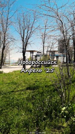 Солнечный Новороссийск, апрель 2025
