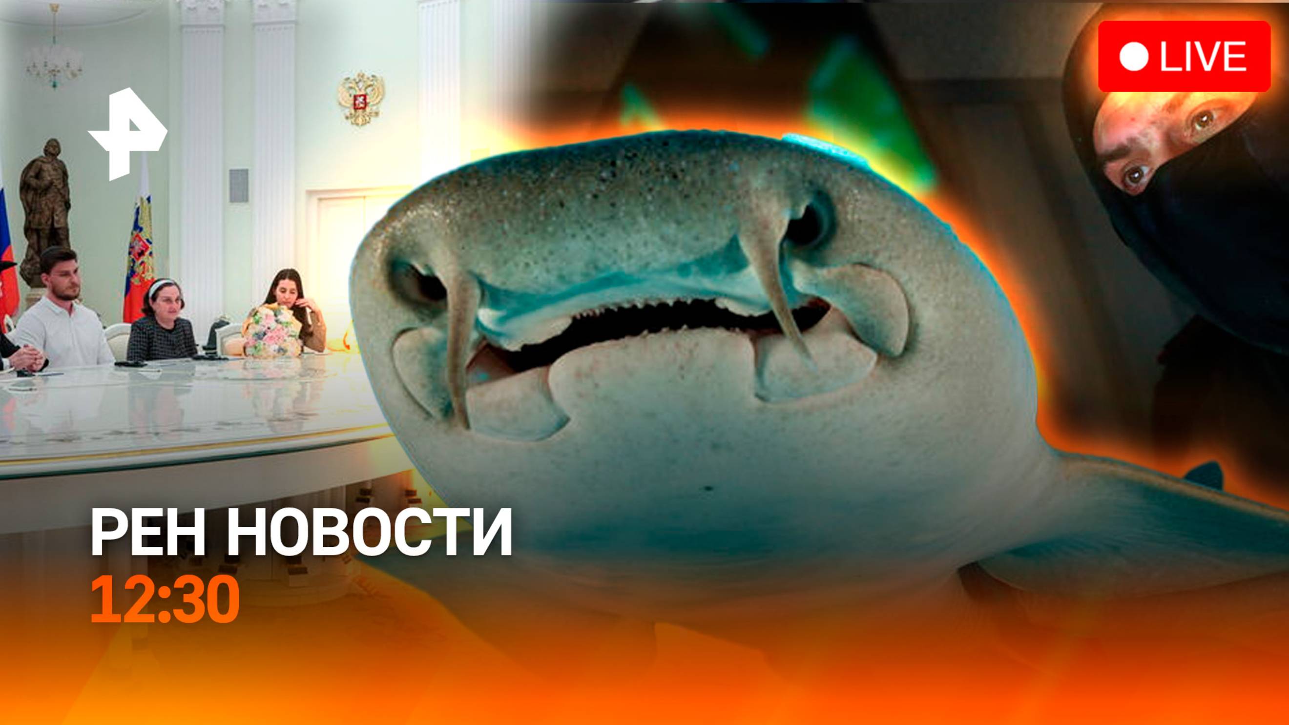 Разбита колонна ВСУ / Акула напала на россиянку / Импорт урежут? / РЕН Новости 12:30, 17.04.25