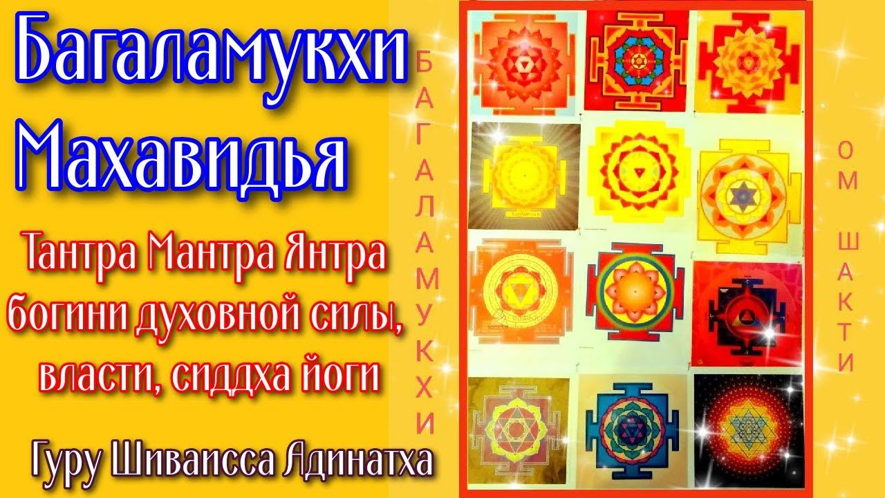 Багаламукхи Махавидья Тантра Мантра Янтра богини духовной силы, власти, сиддха йоги. Гуру Шиваисса