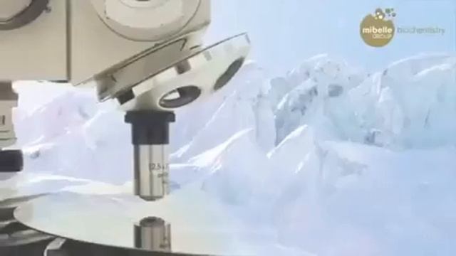 Snow Algae смотреть онлайн