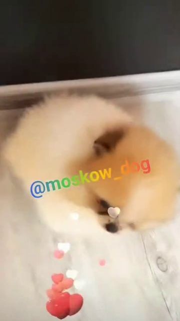 😉 смотреть онлайн