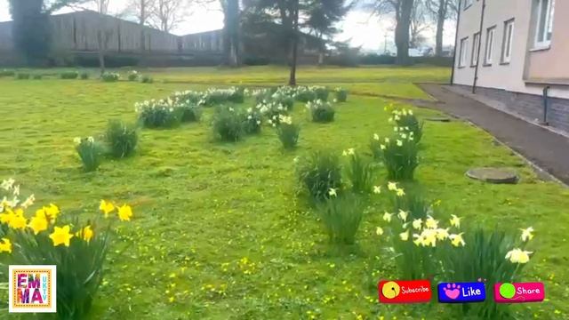 Spring Flowers 2024 - Emma UK TV смотреть онлайн