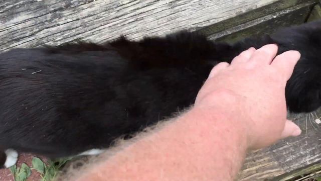 FUTURE GARDEN PLANS смотреть онлайн