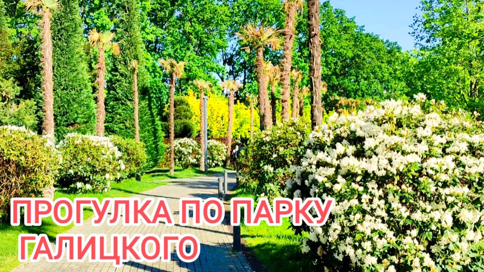 Парк Галицкого в мае. смотреть онлайн