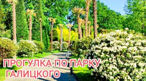 Парк Галицкого в мае.