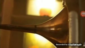 Букашки ночь живых насекомых включение машины