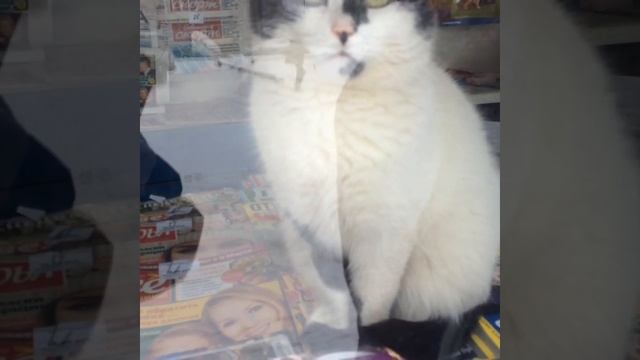 Продавцы Роспечати смотреть онлайн