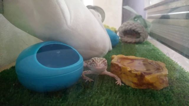 Второе видео с нормальной стабилизация, ШОК!!! смотреть онлайн