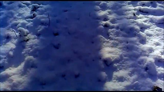 VLOG: Зима *0* смотреть онлайн