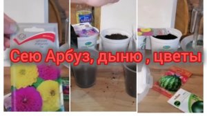 Большая распаковка. Сею цветы, арбузы, дыни 😁