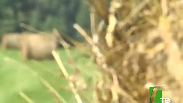 2018 04 11 Развитие сельского хозяйства