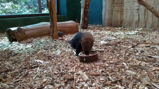 Recept na specialitu pro tayry (Denisa Zběhlíková) смотреть онлайн