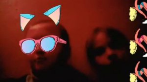 Кошки на пляже