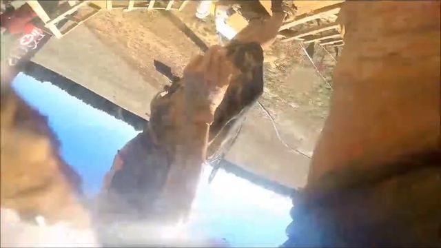 Arctic Enema смотреть онлайн