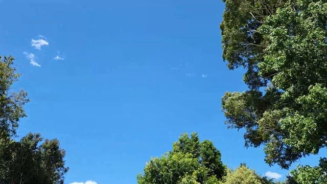 СЕЗОН МАНГО 🥭 🥭 🥭 смотреть онлайн