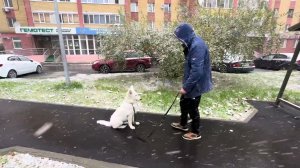 543. Учим БШО, во время прогулки.