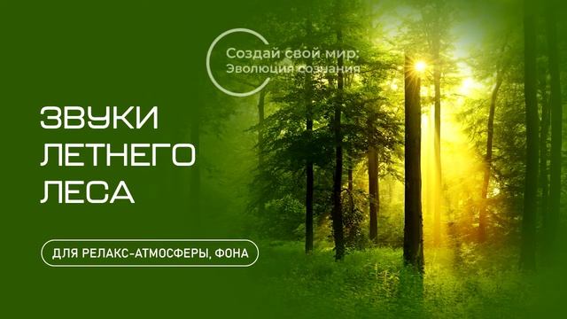 Звуки летнего леса/Summer forest sounds смотреть онлайн