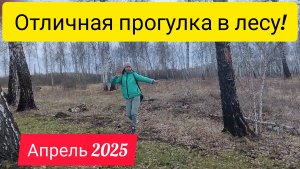 весенняя прогулка - море позитива!