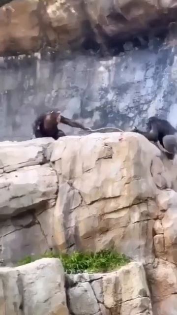 1000080020.mp4