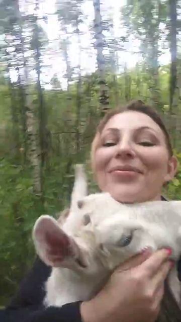 Строим конюшню. Коза Белка прораб смотреть онлайн